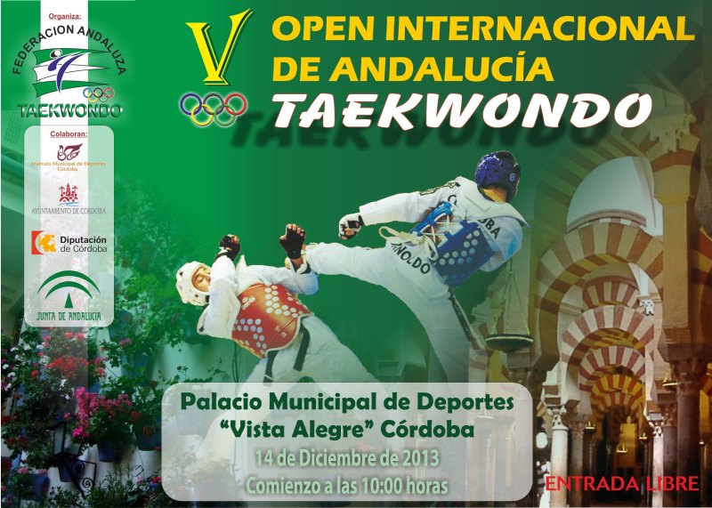 Plakat V. Open Internacional de Andalucía 2013