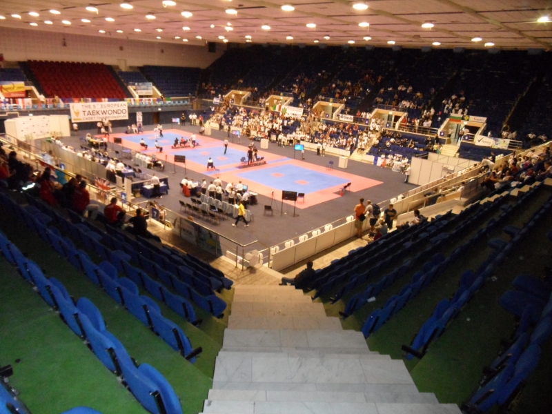 Kadetten-(U15)-Europameisterschaft 2013 in Bukarest - Halleninnenraum von oben